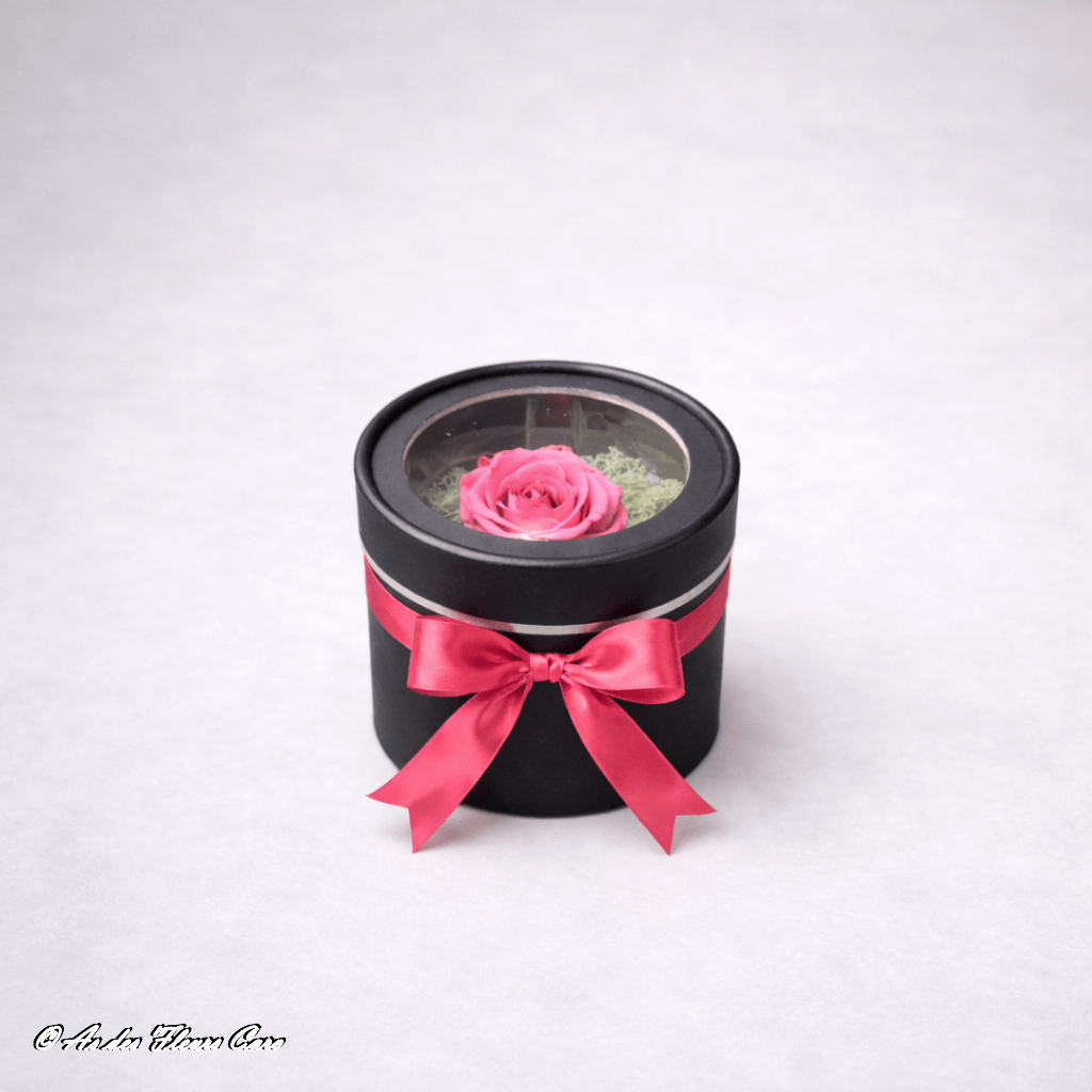 Mini Rose Éternelle