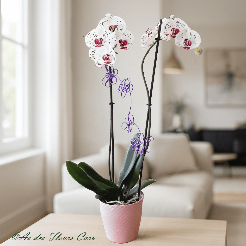 Orchidées 2 Branches
