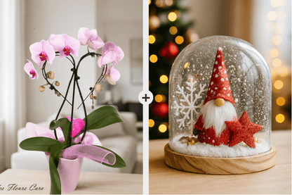 Coffret Plaisir - Orchidées Cœur & Dôme