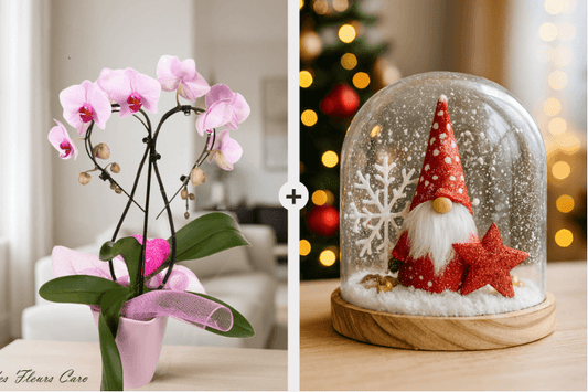 Coffret Plaisir - Orchidées Cœur & Dôme