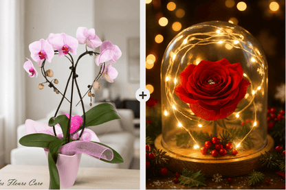 Coffret Plaisir - Orchidées Cœur & Dôme