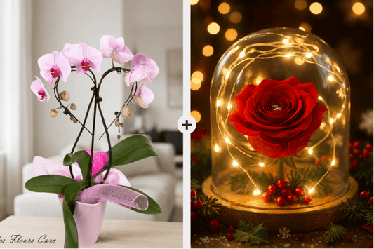 Coffret Plaisir - Orchidées Cœur & Dôme