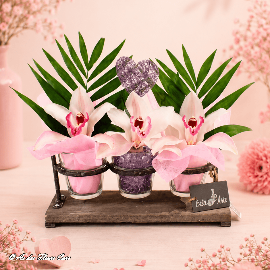 Cymbidium Farandole