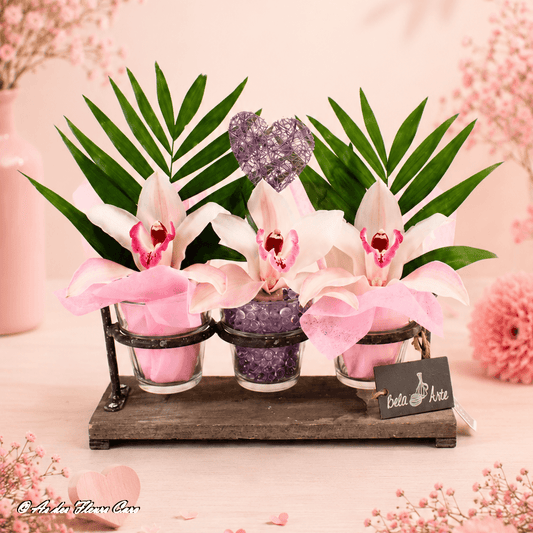 Cymbidium Farandole