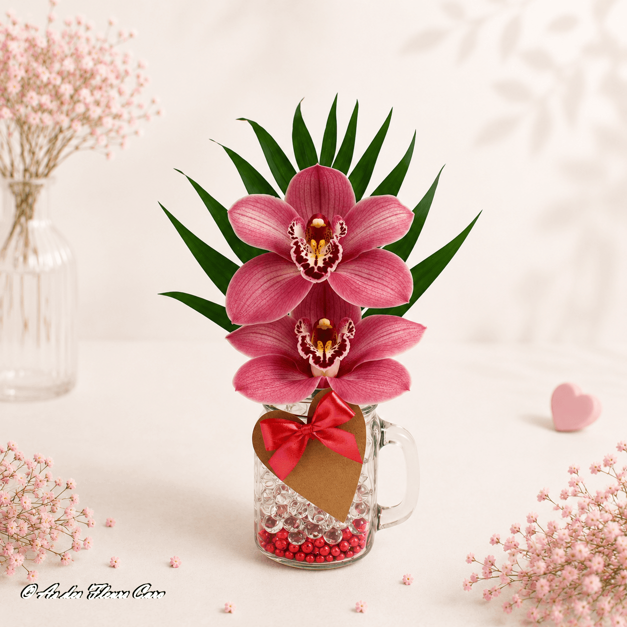 Cymbidium Sérénade