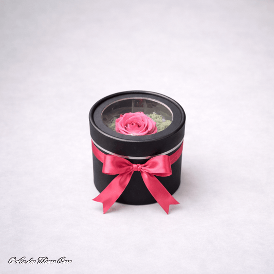 Mini Rose Éternelle